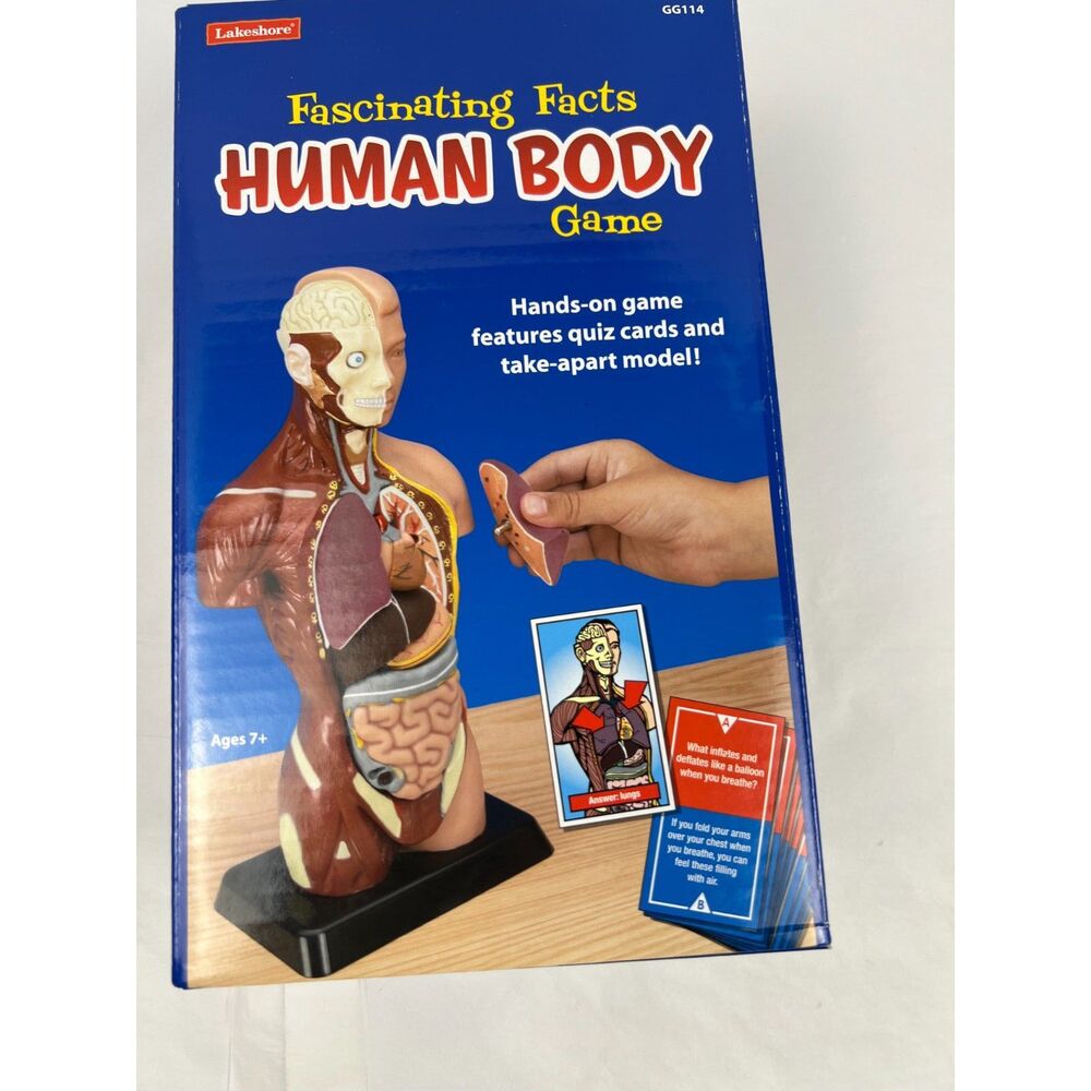 Lakeshore Learning Human Body Anatomy Torso Model Game Science STEM Homeschool